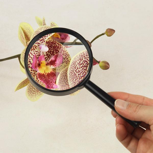 Лупа Hama Basic 75 Magnifying Glass / Пластик photo 2