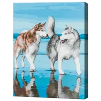 Картина по номерам Art Gallery Хаски на побережье GX38863 50 x 40 см / Вертикальная