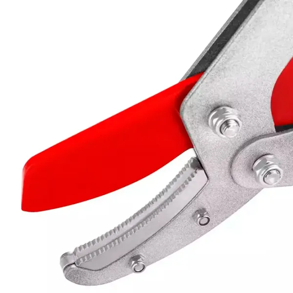 Foarfecă de gradină Ronix RH-3122 Oțel photo 5 Foarfecă de gradină Ronix RH-3122 Oțel photo 5