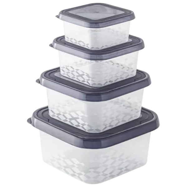 Container BranQ Ori 0.45l / Plastic / Gray photo 1