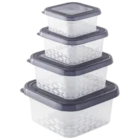 Container BranQ Ori 0.45l / Plastic / Gray