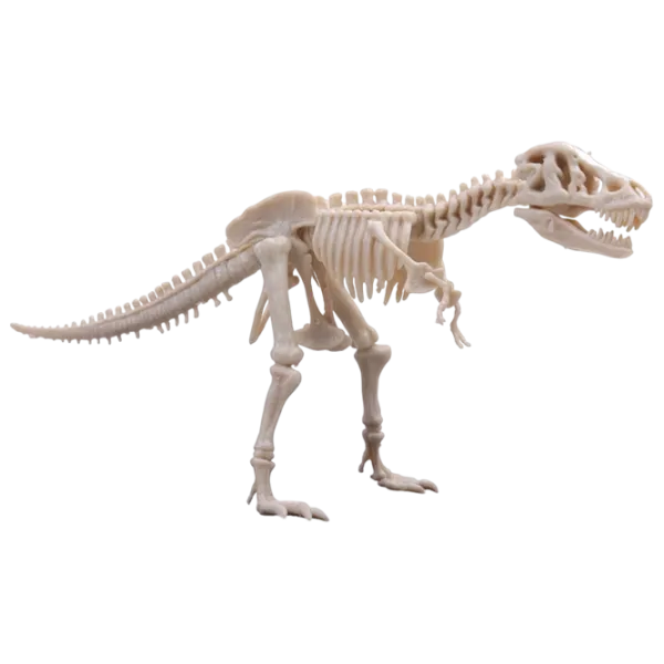 Joc de masă 4M Dinosaur Tyrannosaurus Rex 9+/ Dezvoltare photo 2