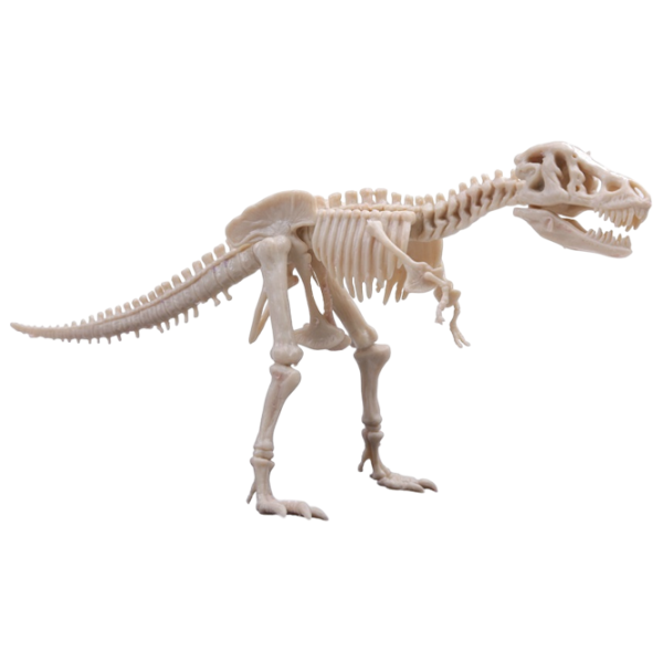 Joc de masă 4M Dinosaur Tyrannosaurus Rex 9+/ Dezvoltare photo 2
