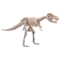 Joc de masă 4M Dinosaur Tyrannosaurus Rex 9+/ Dezvoltare photo 2