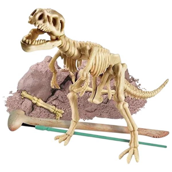 Joc de masă 4M Dinosaur Tyrannosaurus Rex 9+/ Dezvoltare photo 3