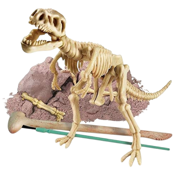 Joc de masă 4M Dinosaur Tyrannosaurus Rex 9+/ Dezvoltare photo 3
