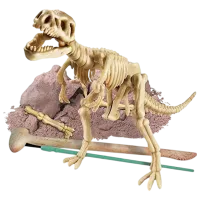 Joc de masă 4M Dinosaur Tyrannosaurus Rex 9+/ Dezvoltare photo 3