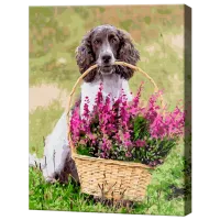 Картина по номерам Art Gallery Пушистый джентльмен с корзиной цветов GX38466 50 x 40 см / Вертикальная