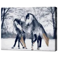 Картина по номерам Art Gallery Серые кони GX39680 50 x 40 см / Горизонтальная