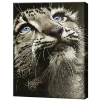 Картина по номерам Art Gallery Проницательный взгляд хищника GX28703 50 x 40 см / Вертикальная