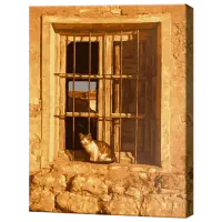 Картина по номерам Art Gallery Котик на подоконнике GX30925 50 x 40 см / Вертикальная