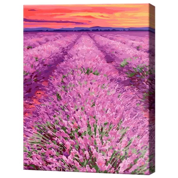 Pictură pe numere Art Gallery Levănțica la apus GX32074 50 x 40 cm / Verticală photo 1 Pictură pe numere Art Gallery Levănțica la apus GX32074 50 x 40 cm / Verticală photo 1