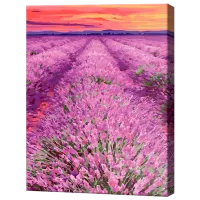 Картина по номерам Art Gallery Лавандовое поле на закате GX32074 50 x 40 см / Вертикальная
