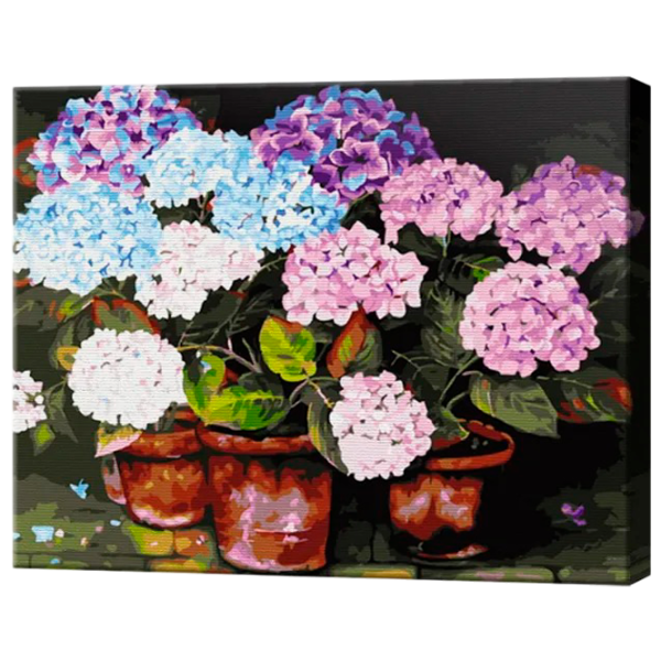Pictură pe numere Art Gallery Hortensii GX32756 50 x 40 cm / Orizontală photo 1 Pictură pe numere Art Gallery Hortensii GX32756 50 x 40 cm / Orizontală photo 1