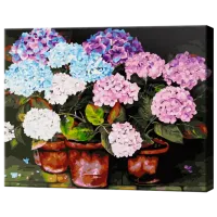 Картина по номерам Art Gallery Гортензии GX32756 50 x 40 см / Горизонтальная