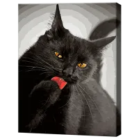 Картина по номерам Art Gallery Черная кошечка GX21748 50 x 40 см / Вертикальная