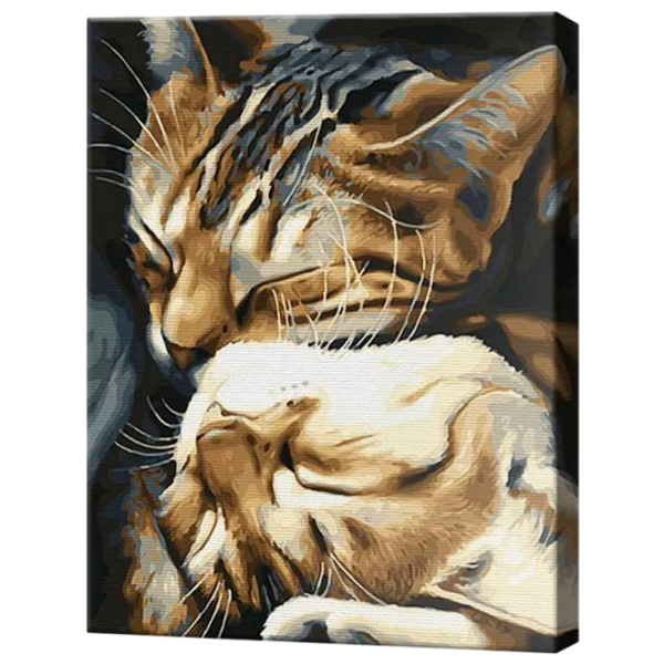 Картина по номерам Art Gallery Милые котики GX29747 50 x 40 см / Вертикальная photo 1