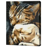 Картина по номерам Art Gallery Милые котики GX29747 50 x 40 см / Вертикальная