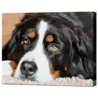 Картина по номерам Art Gallery Ciobanescul de Berna GX44482 50 x 40 см / Горизонтальная