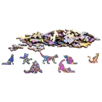 Joc de masă Eureka E2D Rainbow Wooden Cat 5+/ Brain Puzzle photo 2