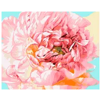 Pictură pe numere Ideyka Bujor gingaș ©Ira Volkova KHO2996 50 x 40 cm / Orizontală