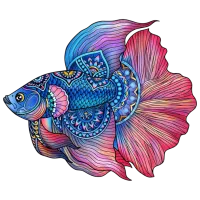 Настольная игра Eureka E2D Rainbow Wooden Puzzle FIGHTING FISH 7+/ Головоломка