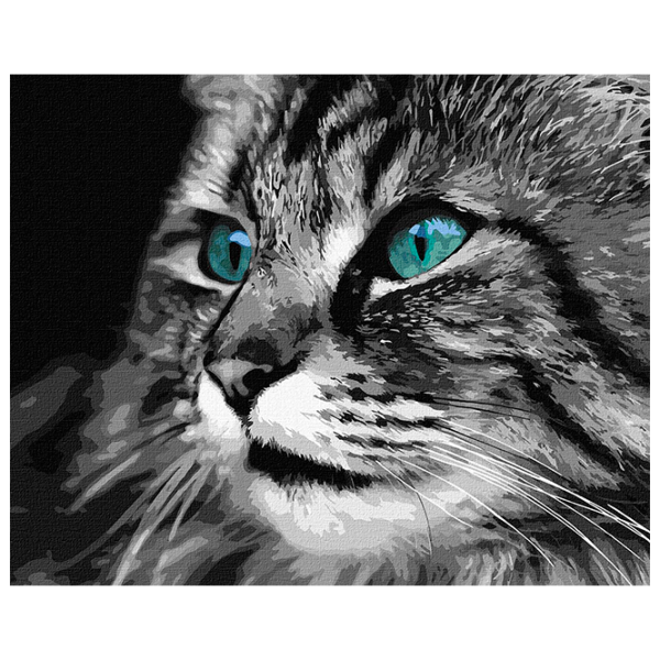 Pictură pe numere Ideyka Ochi de smarald KHO4386 50 x 40 cm / Orizontală photo 1 Pictură pe numere Ideyka Ochi de smarald KHO4386 50 x 40 cm / Orizontală photo 1