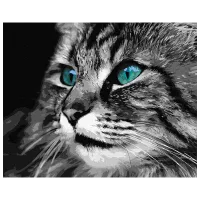 Pictură pe numere Ideyka Ochi de smarald KHO4386 50 x 40 cm / Orizontală