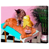 Pictură pe numere Art Gallery Masaj de la motan GX43820 50 x 40 cm / Orizontală