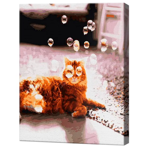 Картина по номерам Art Gallery Мыльные пузыри GX31140 50 x 40 см / Вертикальная photo 1 Картина по номерам Art Gallery Мыльные пузыри GX31140 50 x 40 см / Вертикальная photo 1