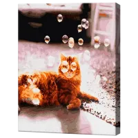 Картина по номерам Art Gallery Мыльные пузыри GX31140 50 x 40 см / Вертикальная