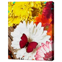Картина по номерам Art Gallery Алая бабочка на цветах GX32864 50 x 40 см / Вертикальная