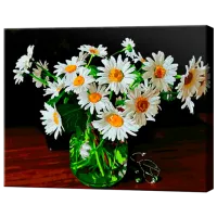 Картина по номерам Art Gallery Ромашки GX37164 50 x 40 см / Горизонтальная