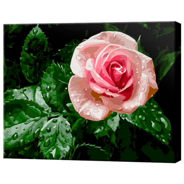 Картина по номерам Art Gallery Роса на розе GX31725 50 x 40 см / Горизонтальная photo 1 Картина по номерам Art Gallery Роса на розе GX31725 50 x 40 см / Горизонтальная photo 1