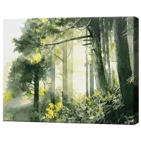 Pictură pe numere Art Gallery Dimineața în pădure GX27520 50 x 40 cm / Orizontală