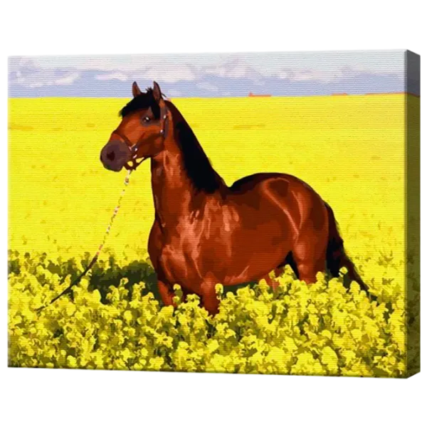 Картина по номерам Art Gallery Конь в цветущем поле GX27705 50 x 40 см / Горизонтальная photo 1 Картина по номерам Art Gallery Конь в цветущем поле GX27705 50 x 40 см / Горизонтальная photo 1