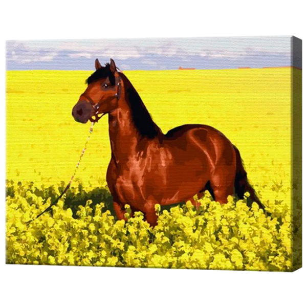 Картина по номерам Art Gallery Конь в цветущем поле GX27705 50 x 40 см / Горизонтальная photo 1 Картина по номерам Art Gallery Конь в цветущем поле GX27705 50 x 40 см / Горизонтальная photo 1