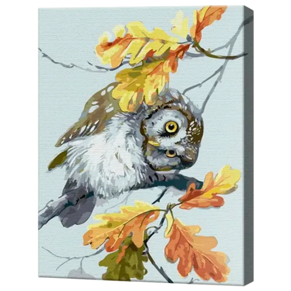 Картина по номерам Art Gallery Любопытная совушка GX46548 50 x 40 см / Вертикальная photo 1 Картина по номерам Art Gallery Любопытная совушка GX46548 50 x 40 см / Вертикальная photo 1