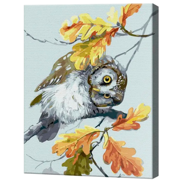 Картина по номерам Art Gallery Любопытная совушка GX46548 50 x 40 см / Вертикальная photo 1 Картина по номерам Art Gallery Любопытная совушка GX46548 50 x 40 см / Вертикальная photo 1