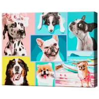 Картина по номерам Art Gallery Коллаж собачек GX43119 50 x 40 см / Горизонтальная