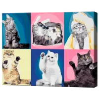Pictură pe numere Art Gallery Colaj de pisici GX42770 50 x 40 cm / Orizontală