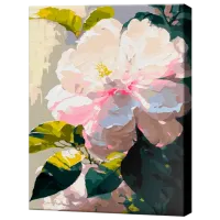 Pictură pe numere Art Gallery Floarea gingașă GX45634 50 x 40 cm / Verticală