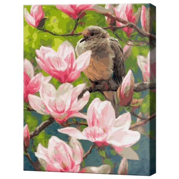 Картина по номерам Art Gallery Цветущая магнолия и птичка GX24986 50 x 40 см / Вертикальная photo 1 Картина по номерам Art Gallery Цветущая магнолия и птичка GX24986 50 x 40 см / Вертикальная photo 1
