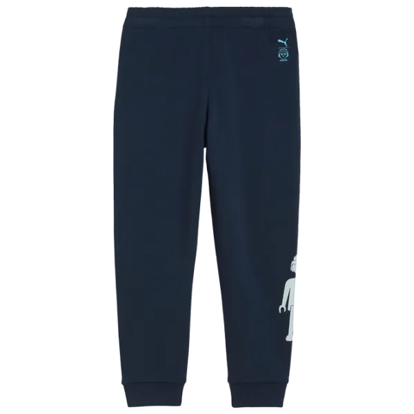 Спортивные брюки для мальчиков Puma X Playmobil Sweatpants Tr 104 / Синий photo 2