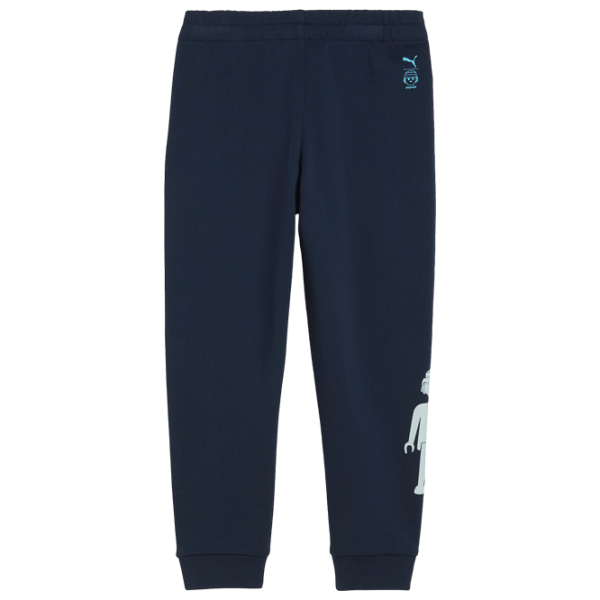 Спортивные брюки для мальчиков Puma X Playmobil Sweatpants Tr 104 / Синий photo 2