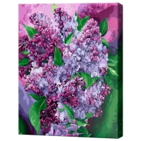 Pictură pe numere Art Gallery Liliac minunat GX29389 50 x 40 cm / Verticală
