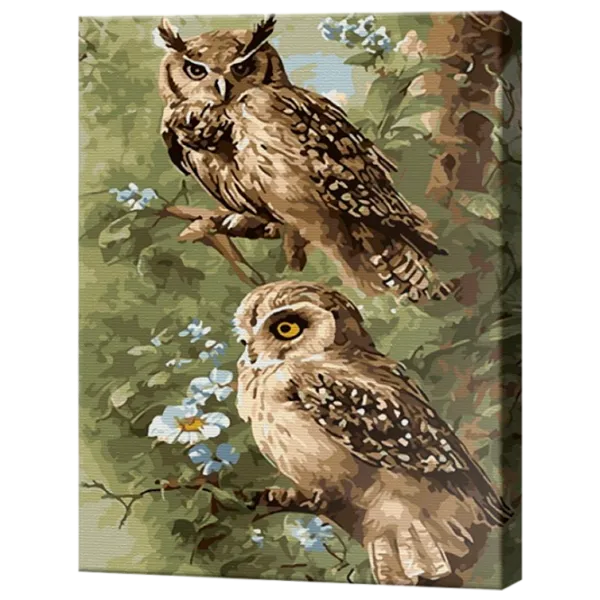 Картина по номерам Art Gallery Совушки EX8203 40 x 30 cm / Вертикальная photo 1