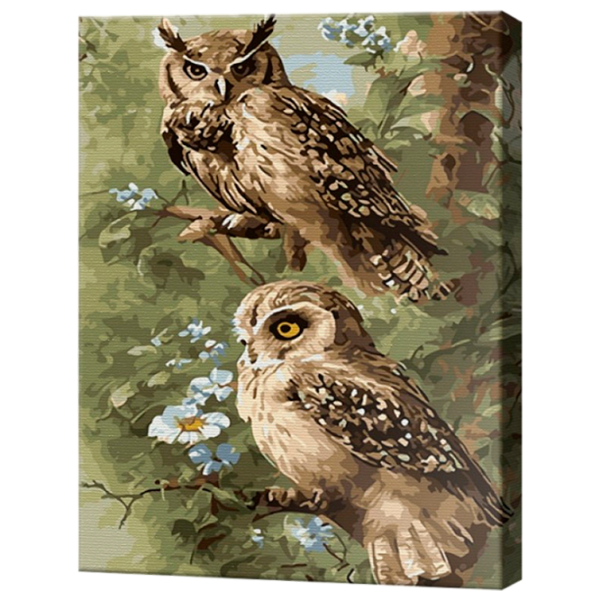 Картина по номерам Art Gallery Совушки EX8203 40 x 30 cm / Вертикальная photo 1