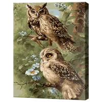 Картина по номерам Art Gallery Совушки EX8203 40 x 30 cm / Вертикальная