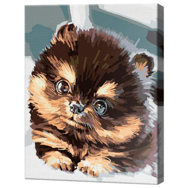 Pictură pe numere Art Gallery Cățeluș york EX5761 40 x 30 cm / Verticală photo 1 Pictură pe numere Art Gallery Cățeluș york EX5761 40 x 30 cm / Verticală photo 1